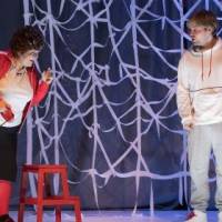 A kutya különös esete az éjszakában