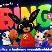 Bing Show