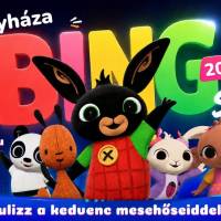 Bing Show