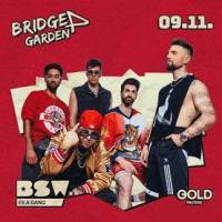 BSW és a GANG