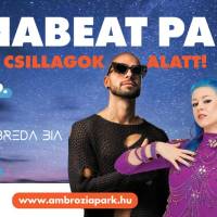  DunaBeat Party – Bulizz a csillagok alatt!