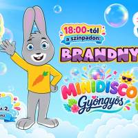  Brandnyúl Mini Disco