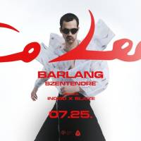 Co Lee vendég: Indigo