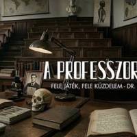 A professzor vallomása