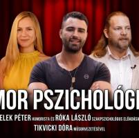Humor pszichológiája
