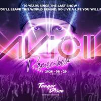 Avicii Remember 