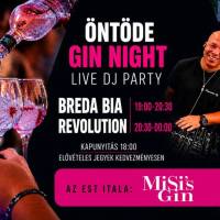 ÖNTÖDE GIN NIGHT