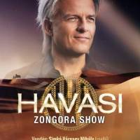 Havasi Zongora Show