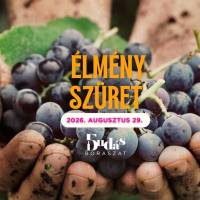 Élmény szüret
