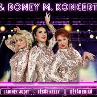 ABBA & Boney M. koncertshow