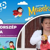 Százszorszép Bóbiska 