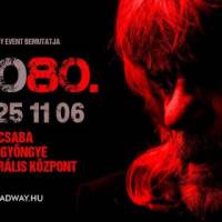 HOBO 80