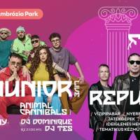 Ambrózia Fiesta