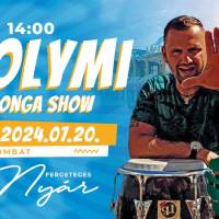 SkyPool parti - Solymi Konga