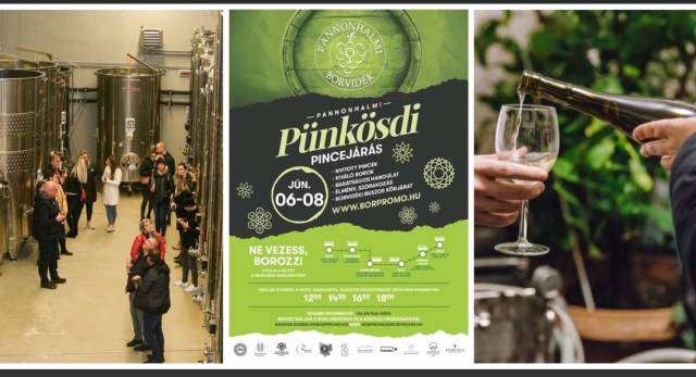 Pünkösdi pincejárás