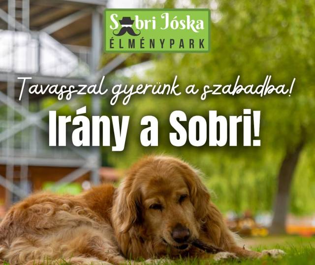 Irány a Sobri! 