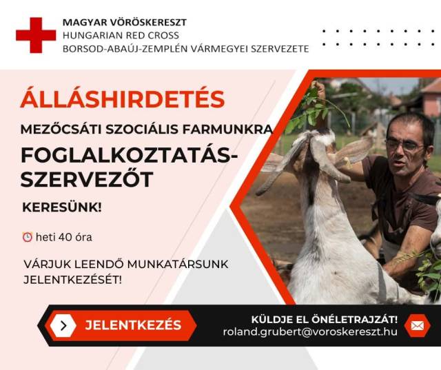 Térségi álláshirdetéseink