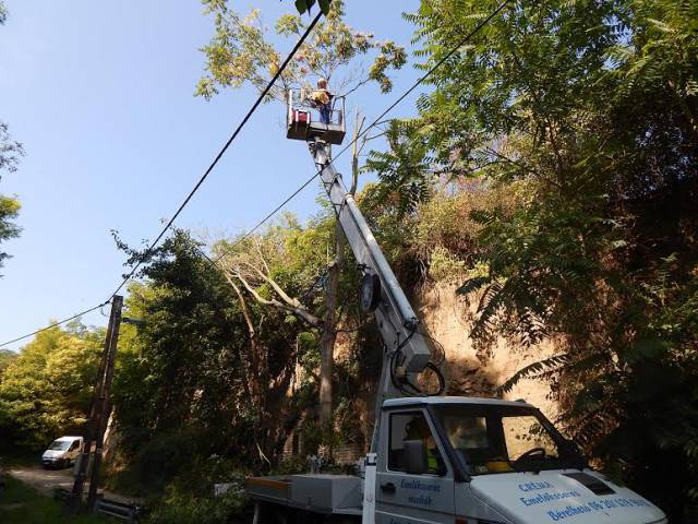 VESZÉLYES FAVÁGÁS EMELŐKOSARAS KOCSIVAL - BÉRLÉS