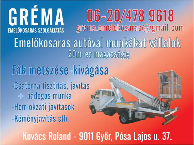 VESZÉLYES FAVÁGÁS EMELŐKOSARAS KOCSIVAL - BÉRLÉS