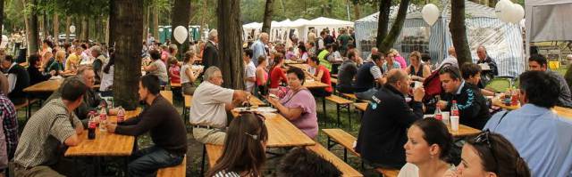 VADEX Mezőföldi Erdő-és Vadgazdálkodási Zrt.
