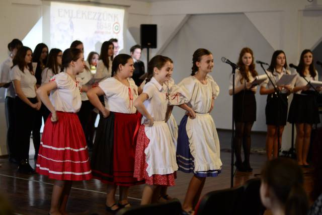 Nagykárolyi Elméleti Liceum