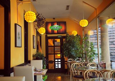 Jégkert Cafe