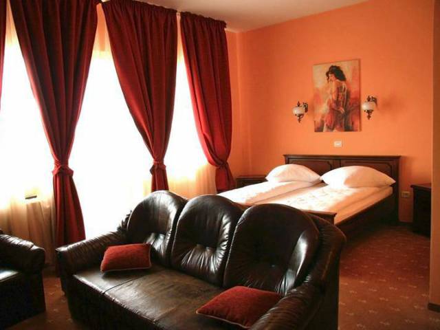 Hotel Coandi