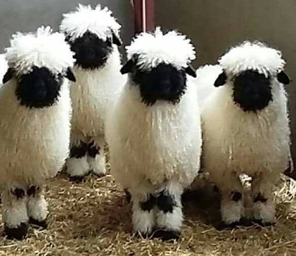 VÁRBIRTOK (Rendezvényhelyszín-Szállás)