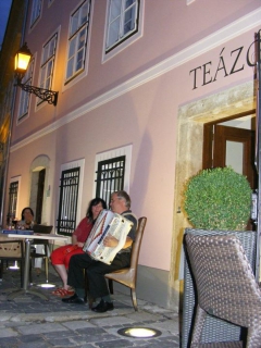 MÚZEUMHÁZ  TEÁZÓ
