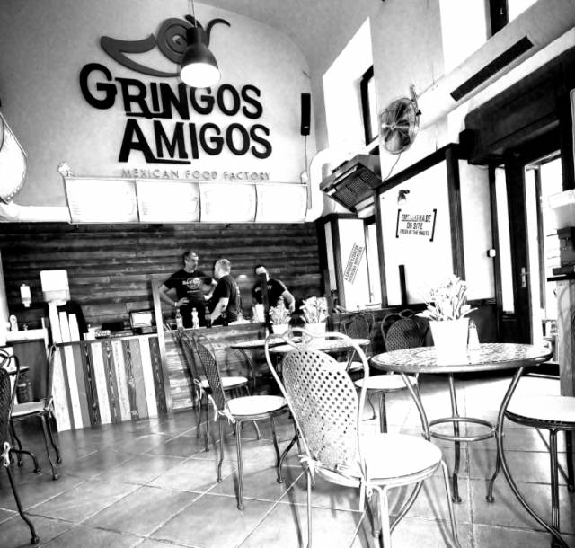 Gringos Amigos