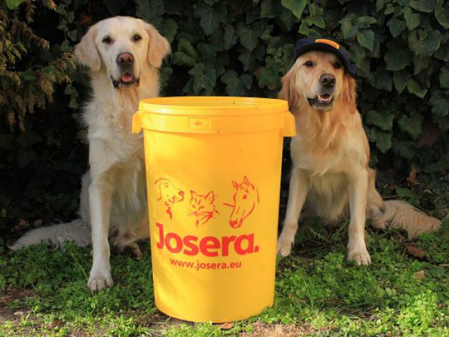 Széktói Kutyaszalon