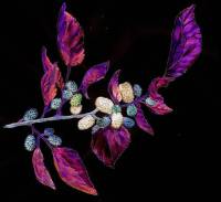 Polgárok Egyesülete Dud Óbecse