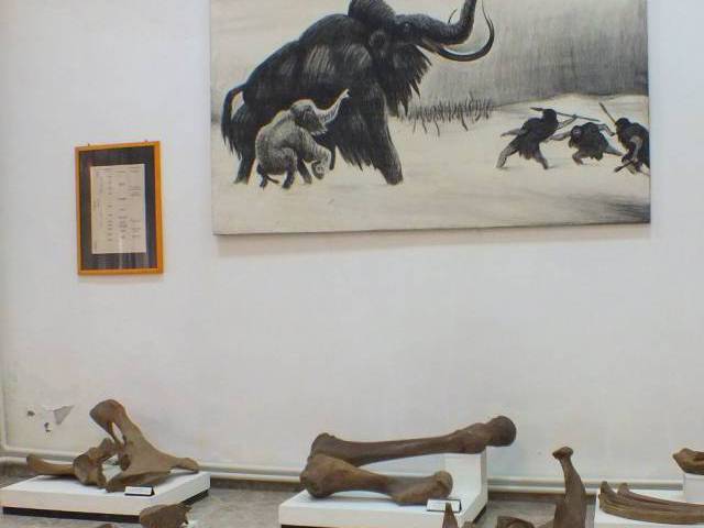 Zenta Község idegenforgalmi Szervezete