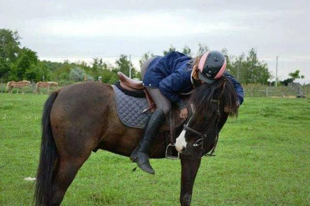 SISSY LOVAS SPORTEGYESÜLET