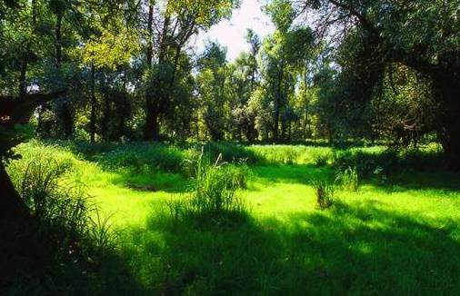 TOA Turisztikai Szervezet Apatin