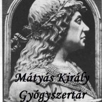 Mátyás Király Gyógyszertár