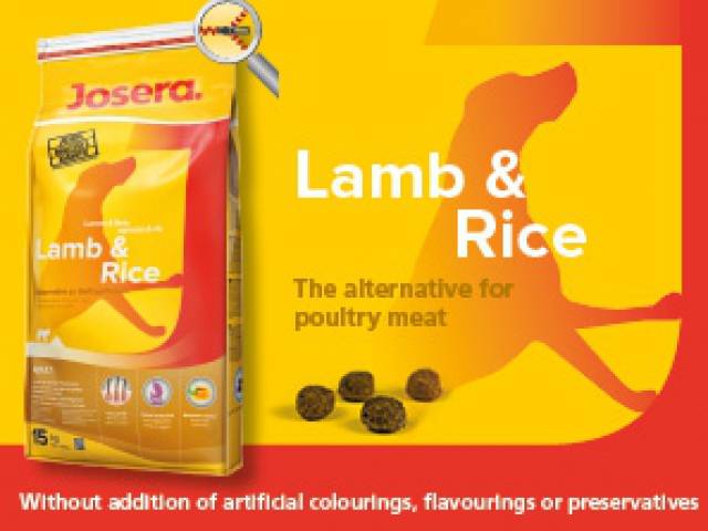 Széktói Kutyaszalon