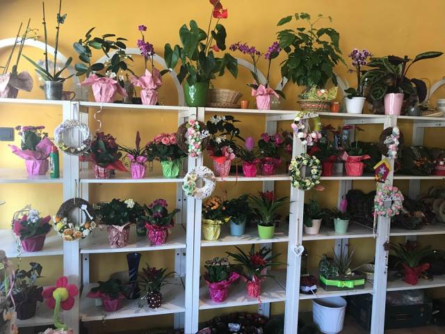 Mosoly virágüzlet
