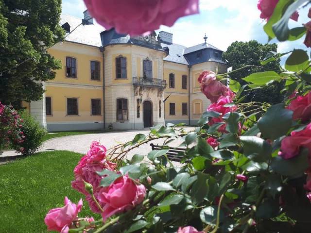 Móri Borvidék TDM Egyesület