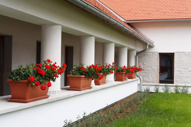 PÁNTLIKA PINCÉSZET és PORTA ÉTTEREM