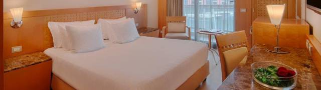 Hotel NH Collection