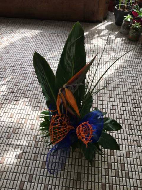 Ikebana virágüzlet