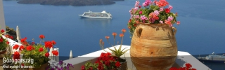 Bolla Travel
