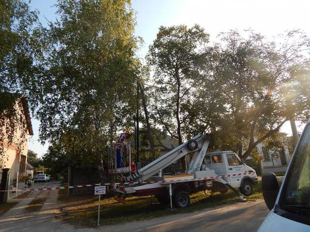 VESZÉLYES FAVÁGÁS EMELŐKOSARAS KOCSIVAL - BÉRLÉS