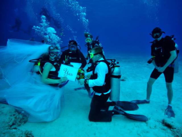 Royaldive - Búvárklub