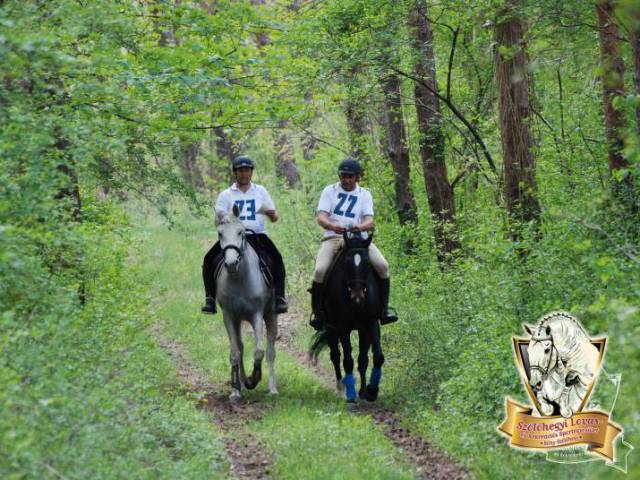 Szőlőhegyi Lovastanya