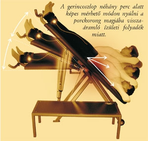 Egészség Kuckó