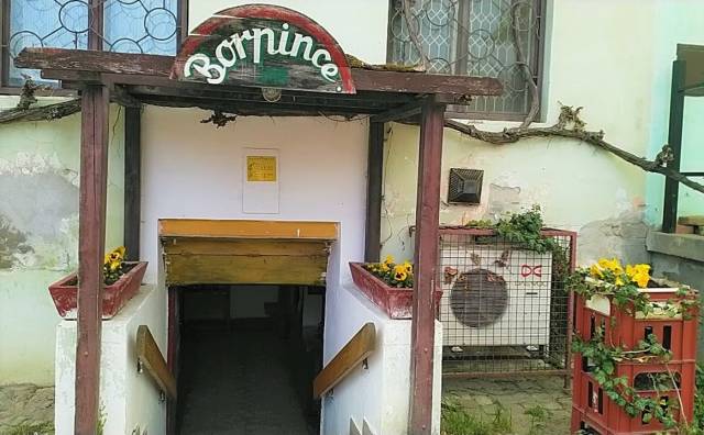 Borpince Makó