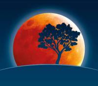 Telki Hold Otthon Nyugdíjasház