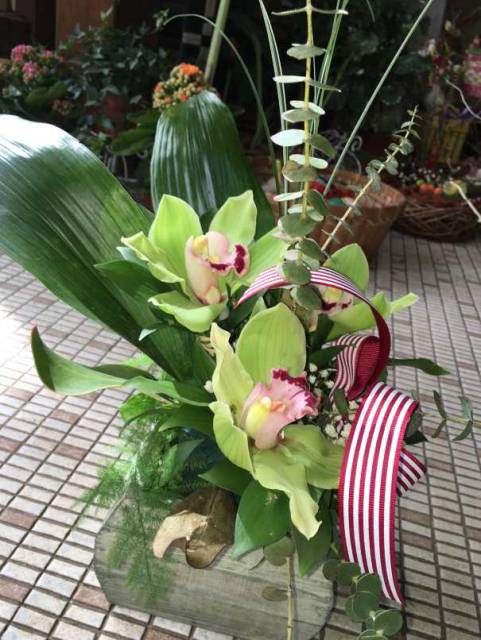 Ikebana virágüzlet